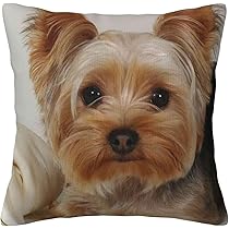 犬 ヨークシャーテリア マルチカバー ソファーカバー ラグ 125x156